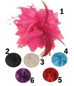 BLOEMEN MET VEERTJE OP HAARKLEM