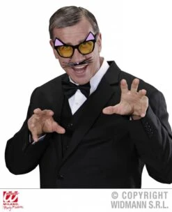 Bril Kater Met Snorharen