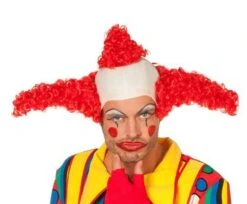 Clownspruik Coco