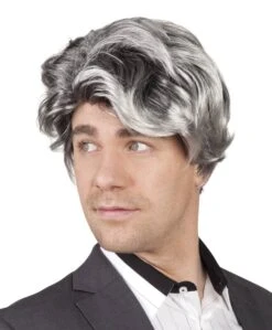 Grijze Mannenpruik Bill