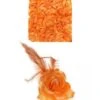 HAARBLOEM/BROCHE ROOS ORANJE