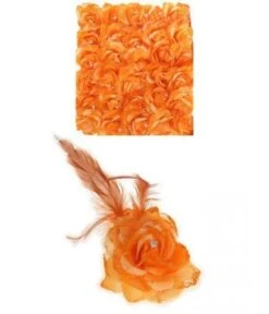 HAARBLOEM/BROCHE ROOS ORANJE