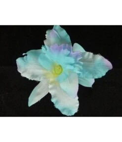 HAARBLOEM ORCHIDEE BLAUW