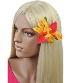 Haarbloem Orchidee Geel Rood