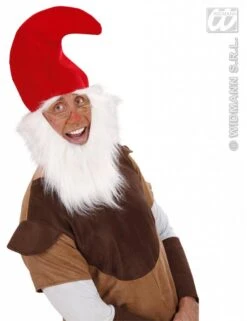 Kaboutermuts Met Baard En Wenkbrouwen