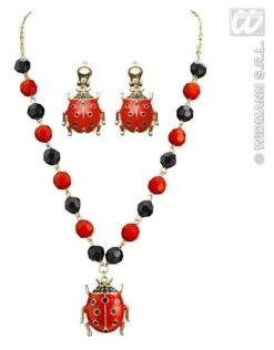 Ketting Met Oorbellen Lieveheersbeestje