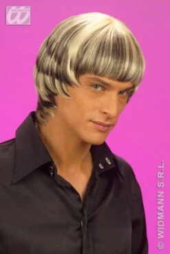 Pruik 70's -Pruikentopper Exporteren Winkel pruik 70s 2