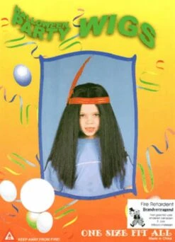 Pruik Indiaan Kind Met Haarband En Veer