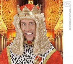 Pruik Koning Louis 14e