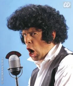 Pruik Rock 'n Roll