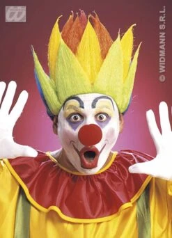 Pruik Shock Meerkleurig