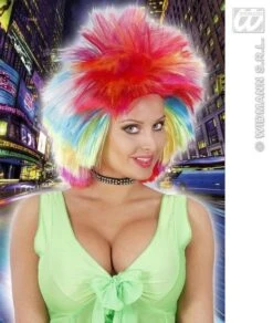 Punk Pruik Multikleuren