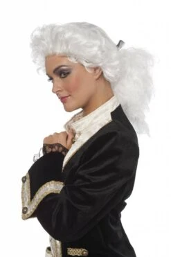 Rococo Pruik Met Staart