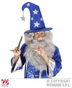 Tovenaarshoed Met Sterren -Pruikentopper Exporteren Winkel tovenaarshoed met sterren 2